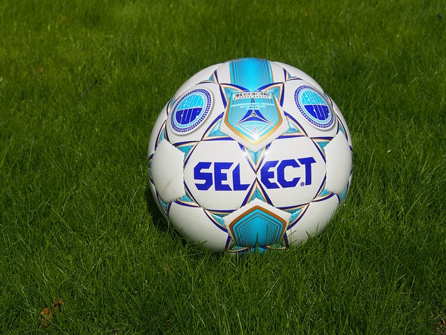 数据显示 数据显示